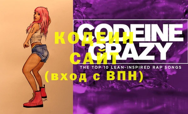 соль ск Алзамай